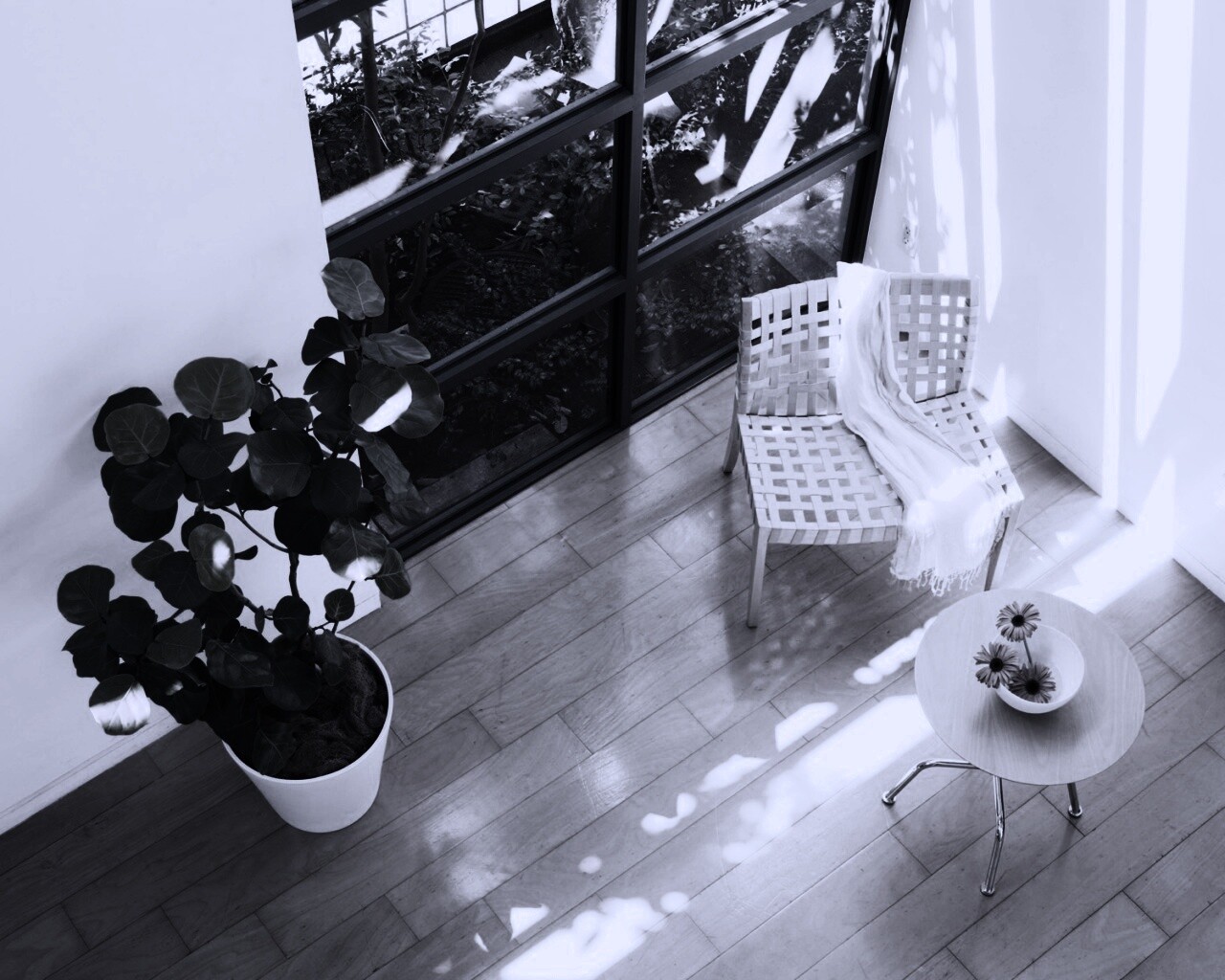 Стул, столик и цветы в комнате обои