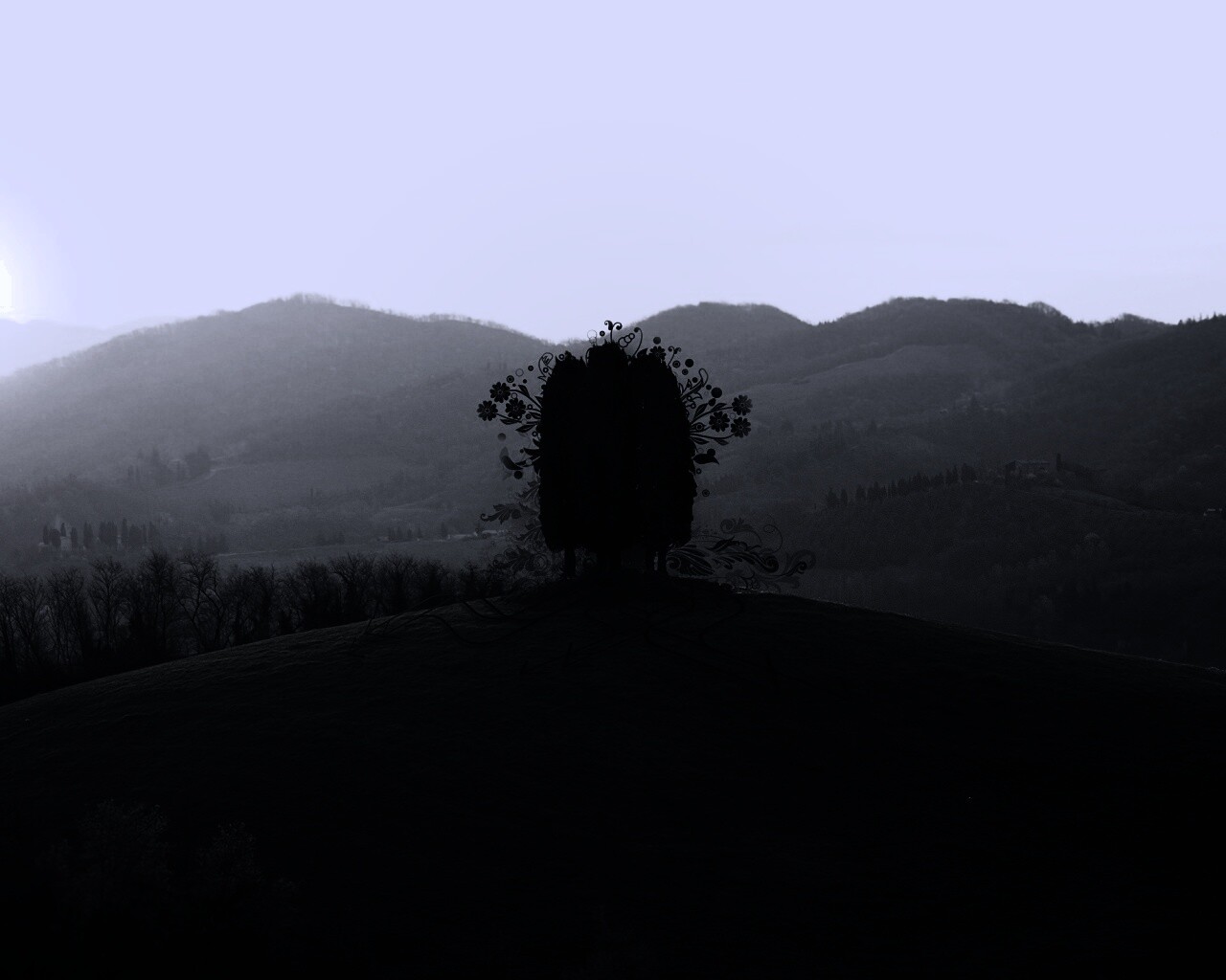 Деревья на холме обои