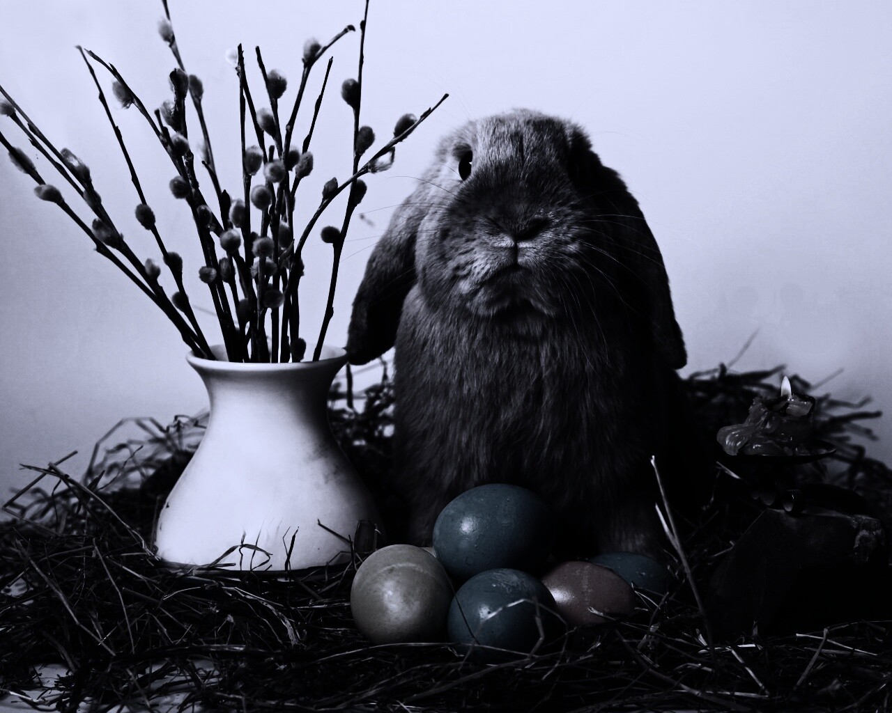Пасхальный кролик обои