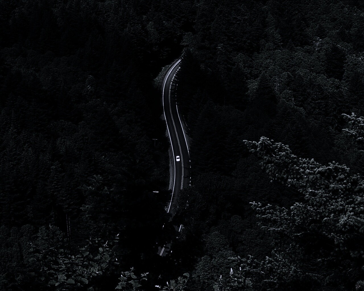 Лесная трасса обои