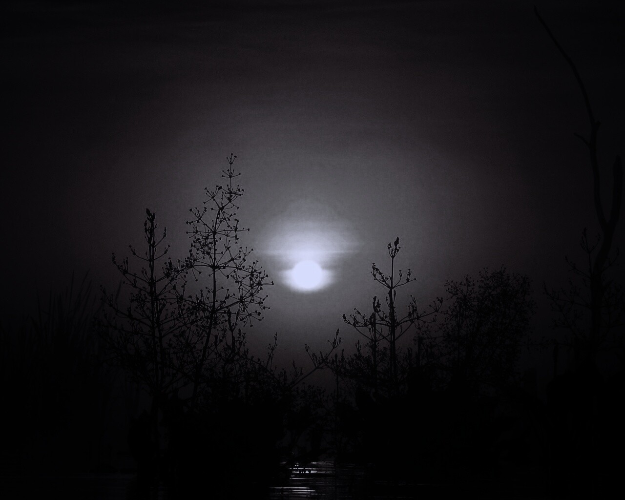 Доисторическое утро обои