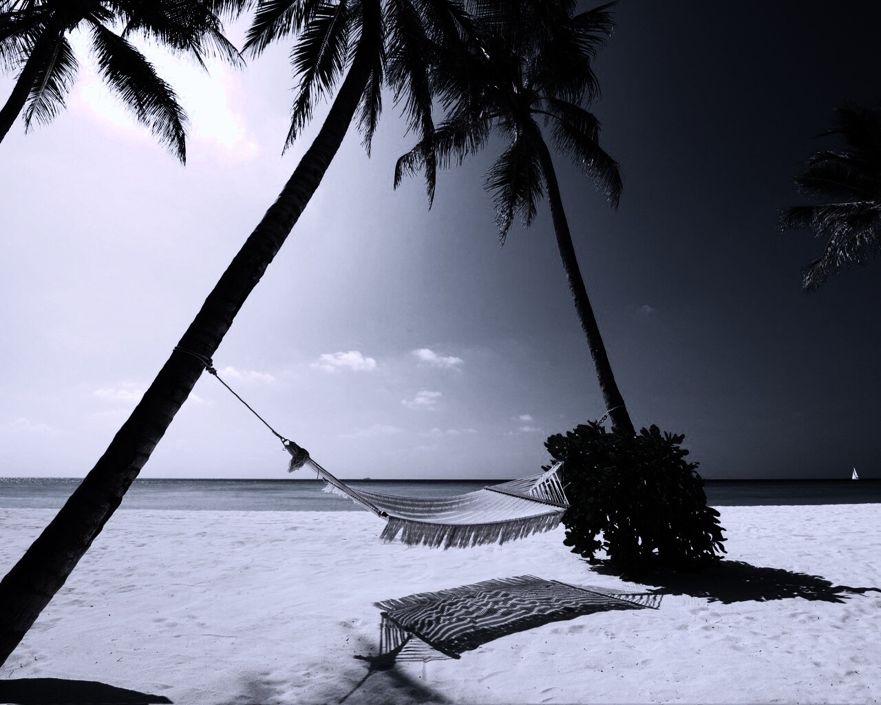 Тропический рай обои