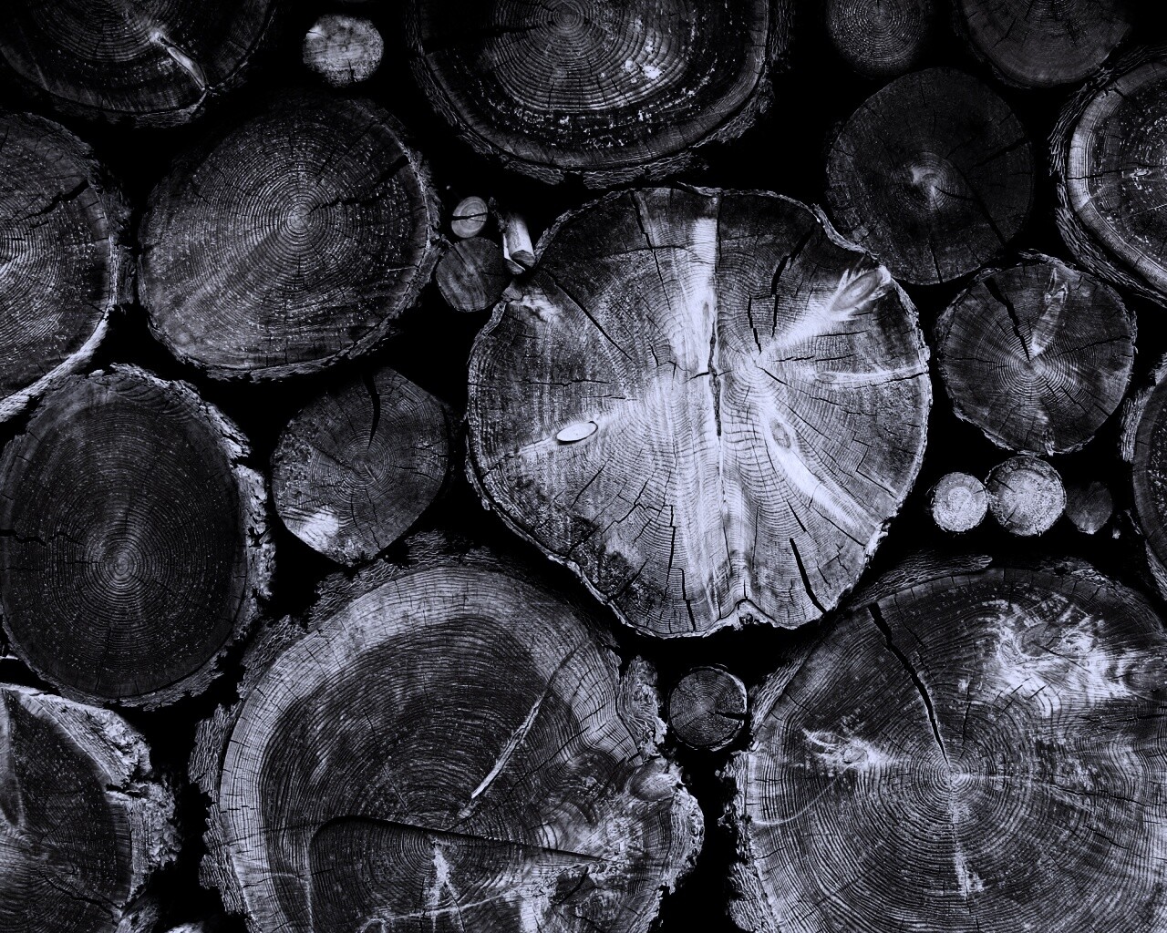 Древесный спил обои