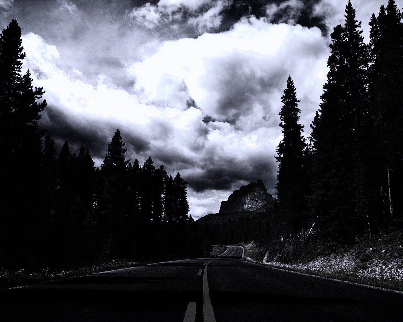 Красивая лесная дорога обои