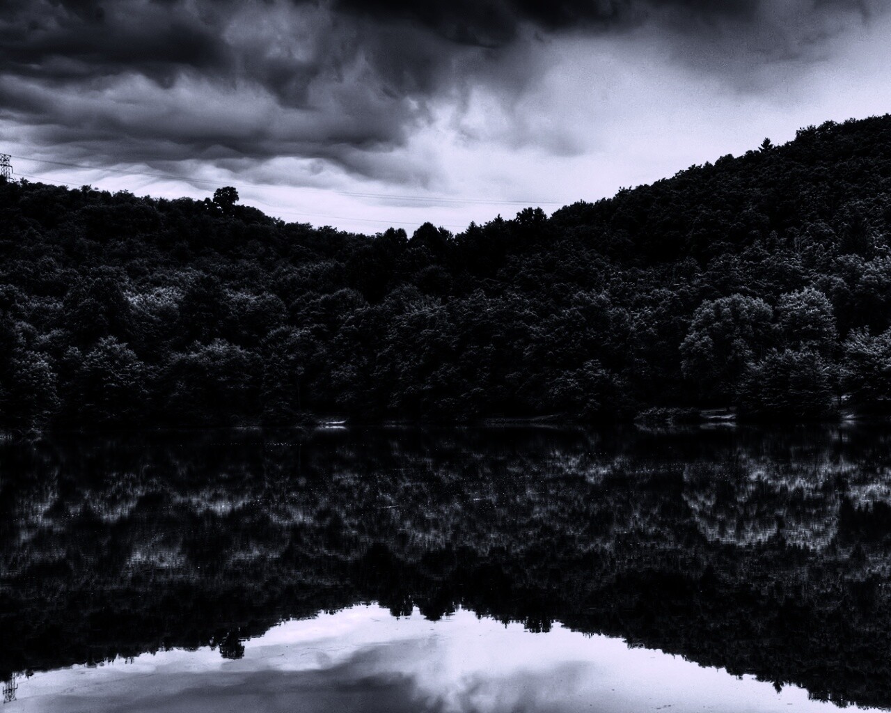 Лесной берег обои