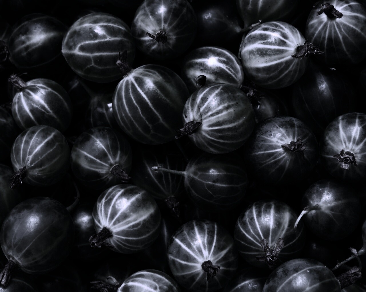 Зелёный крыжовник обои