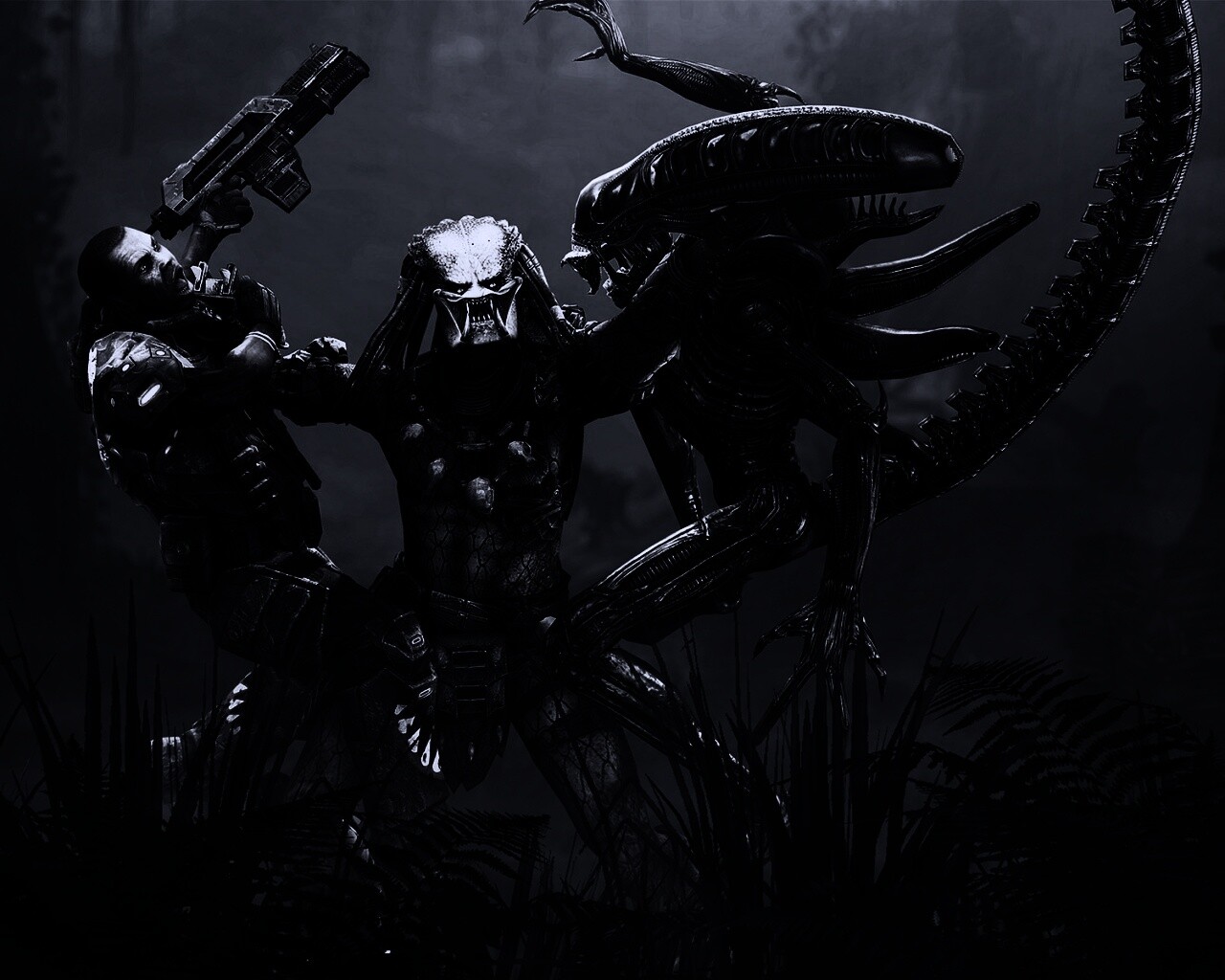 Чужой против Хищника обои