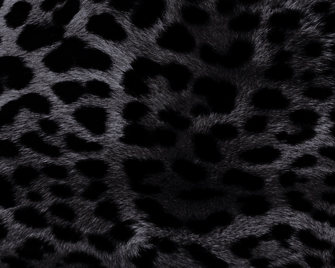 Шкура гепарда обои