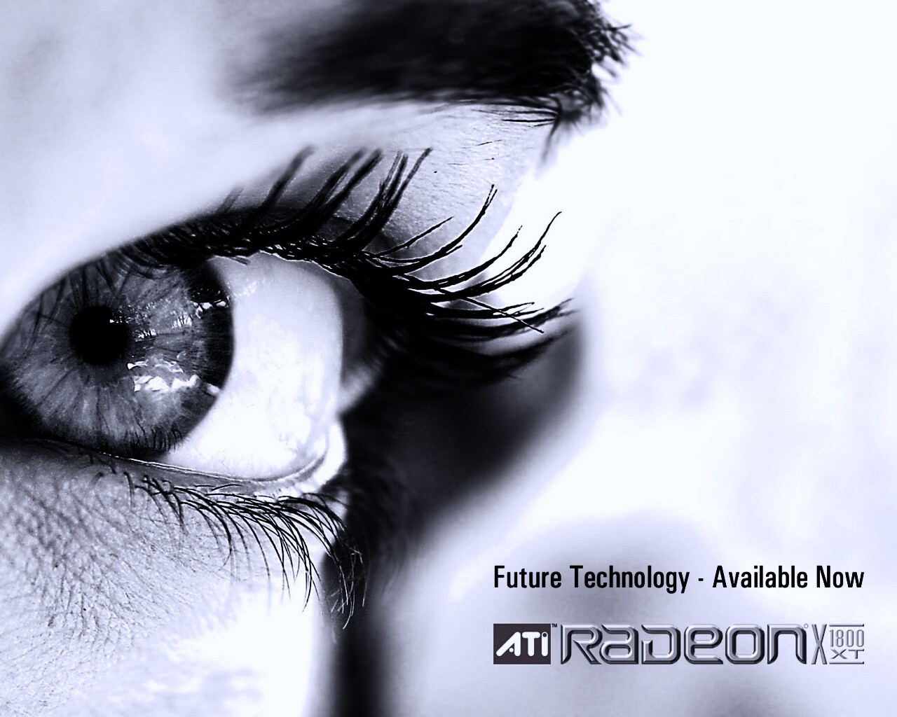 Ati Radeon Future Technology - available now обои