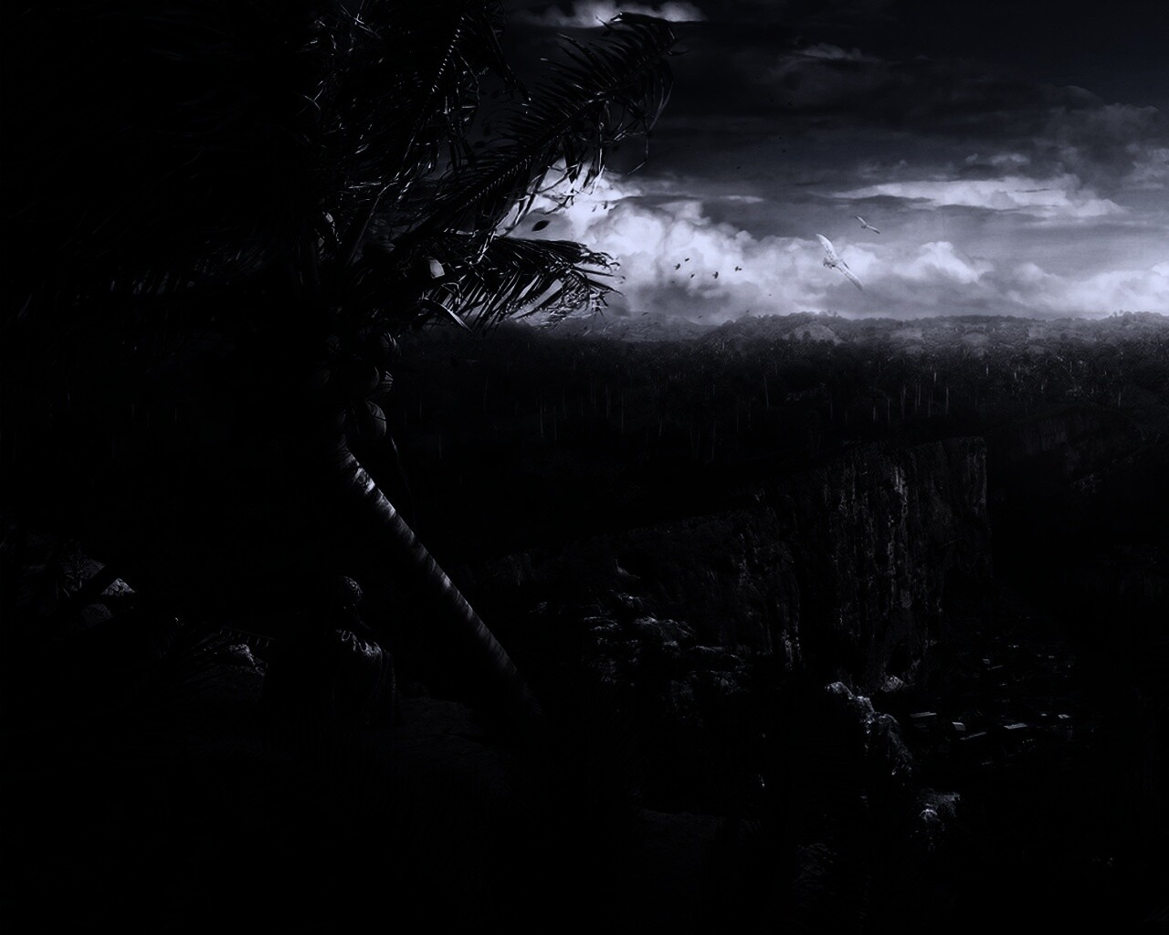 Вид на джунгли обои