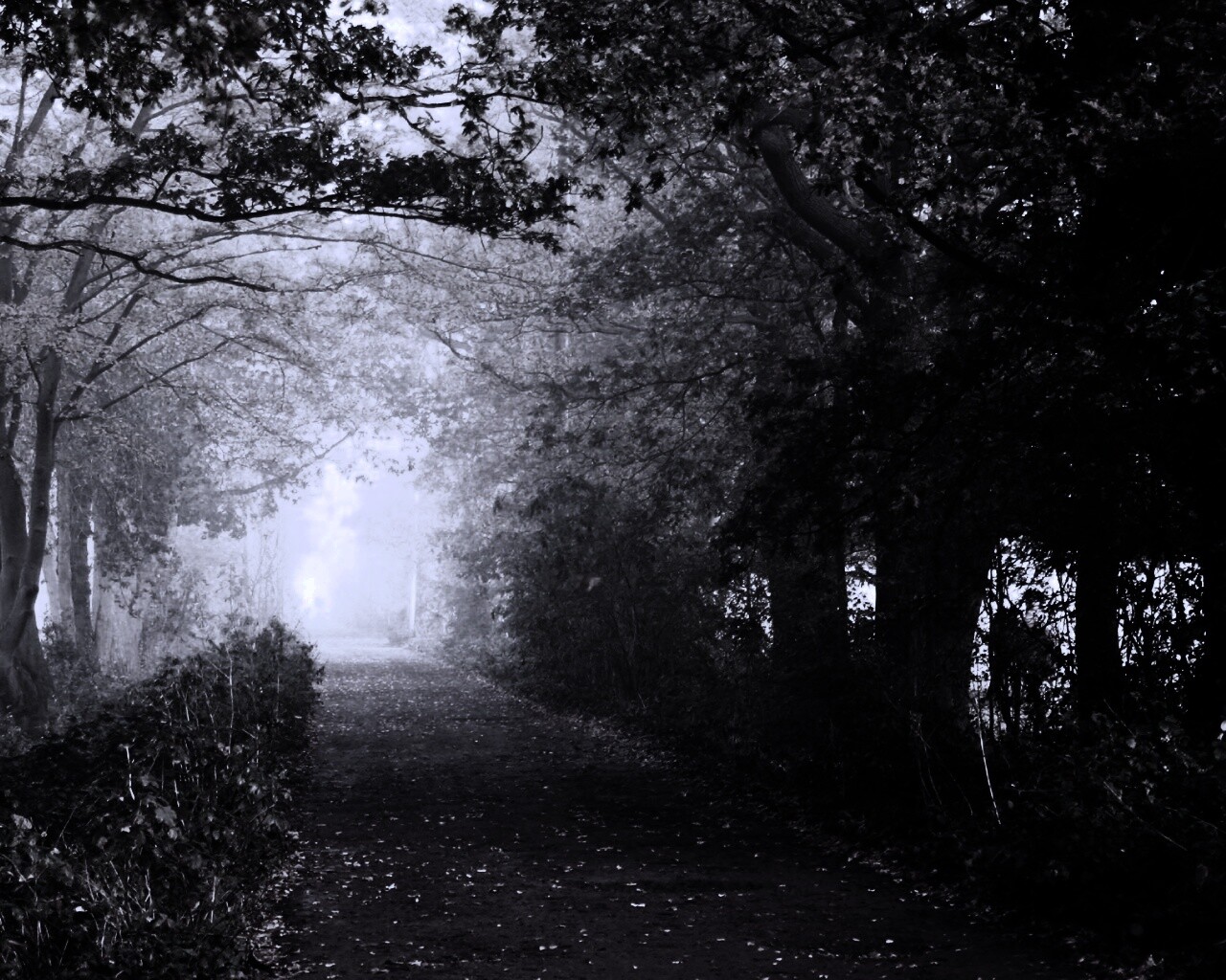 Парковая дорожка обои