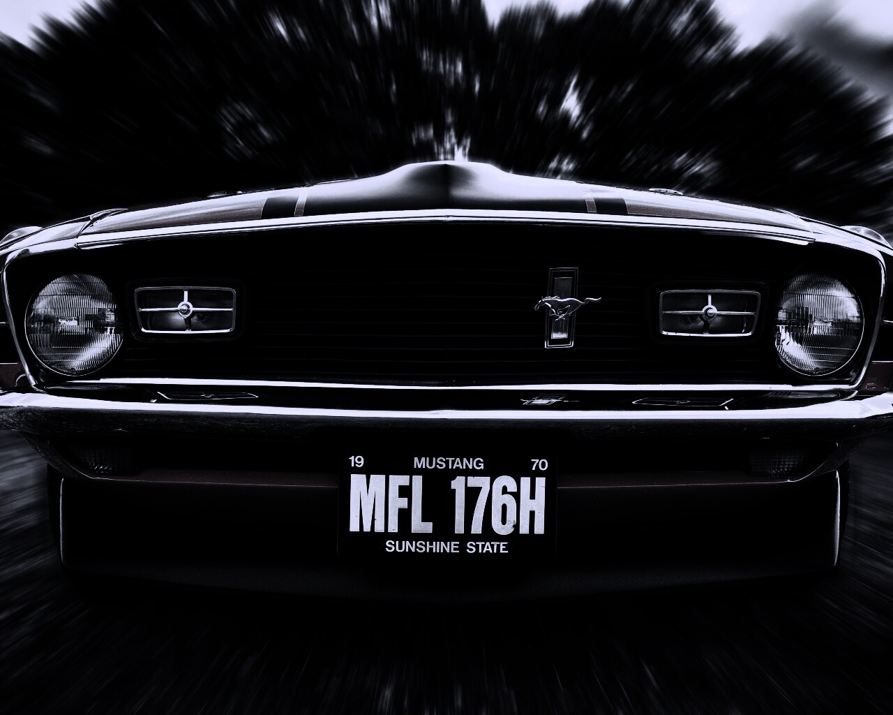 Мустанг обои