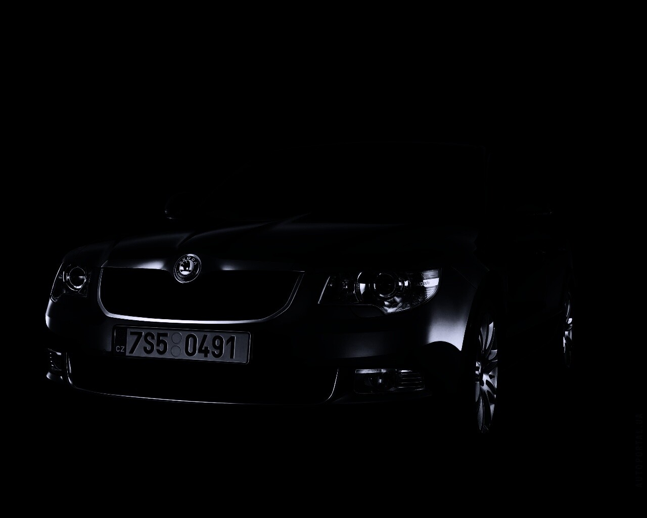 Шкода в темноте обои