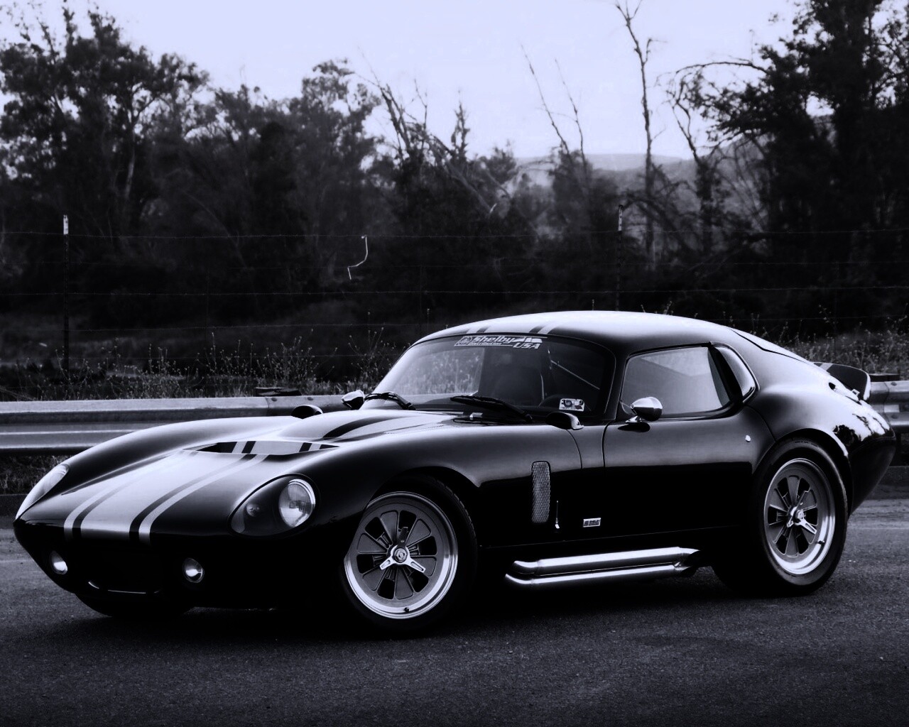 Shelby Daytona обои