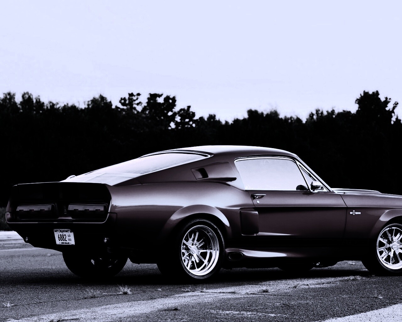 Shelby GT500 CR обои