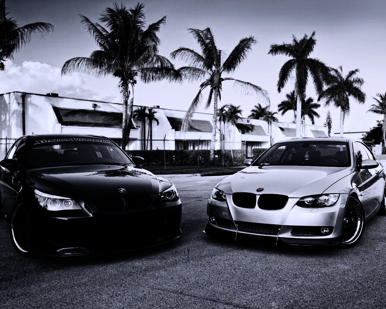 Две БМВ обои
