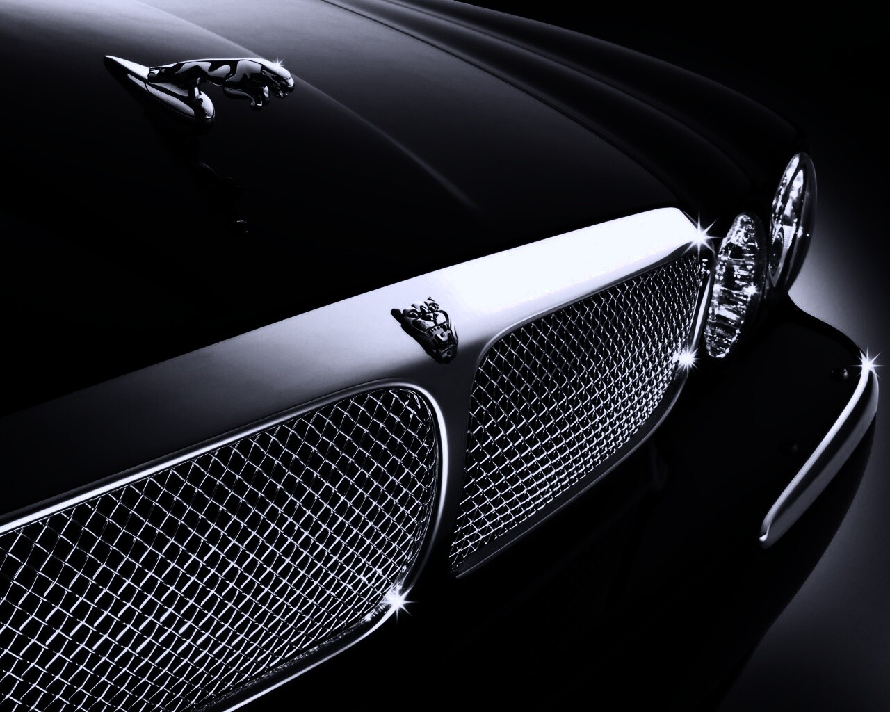 Капот и эмблема Ягуара обои
