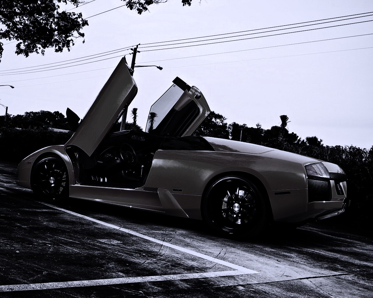 Lamborghini обои