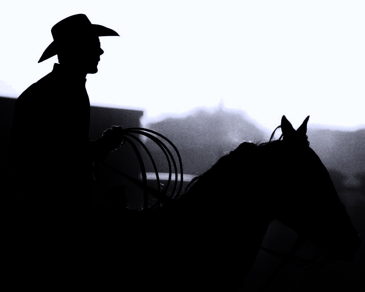 Ковбой с лассо на коне обои