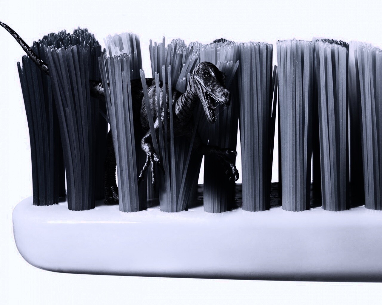 Кариозные монстры снова в деле обои