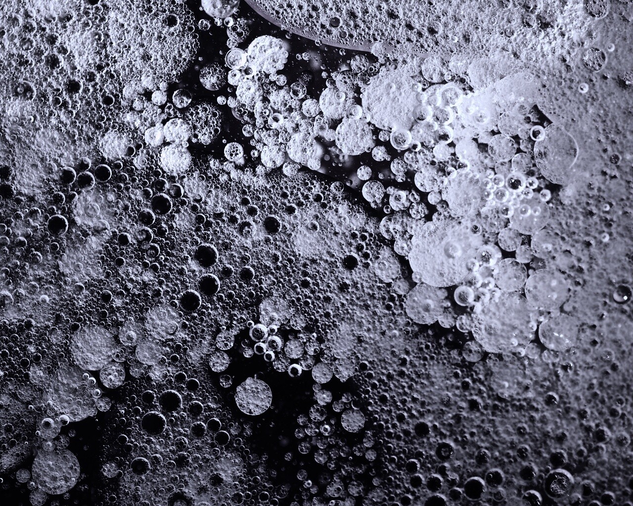 Реакция Вассермана в фиолетовых тонах обои