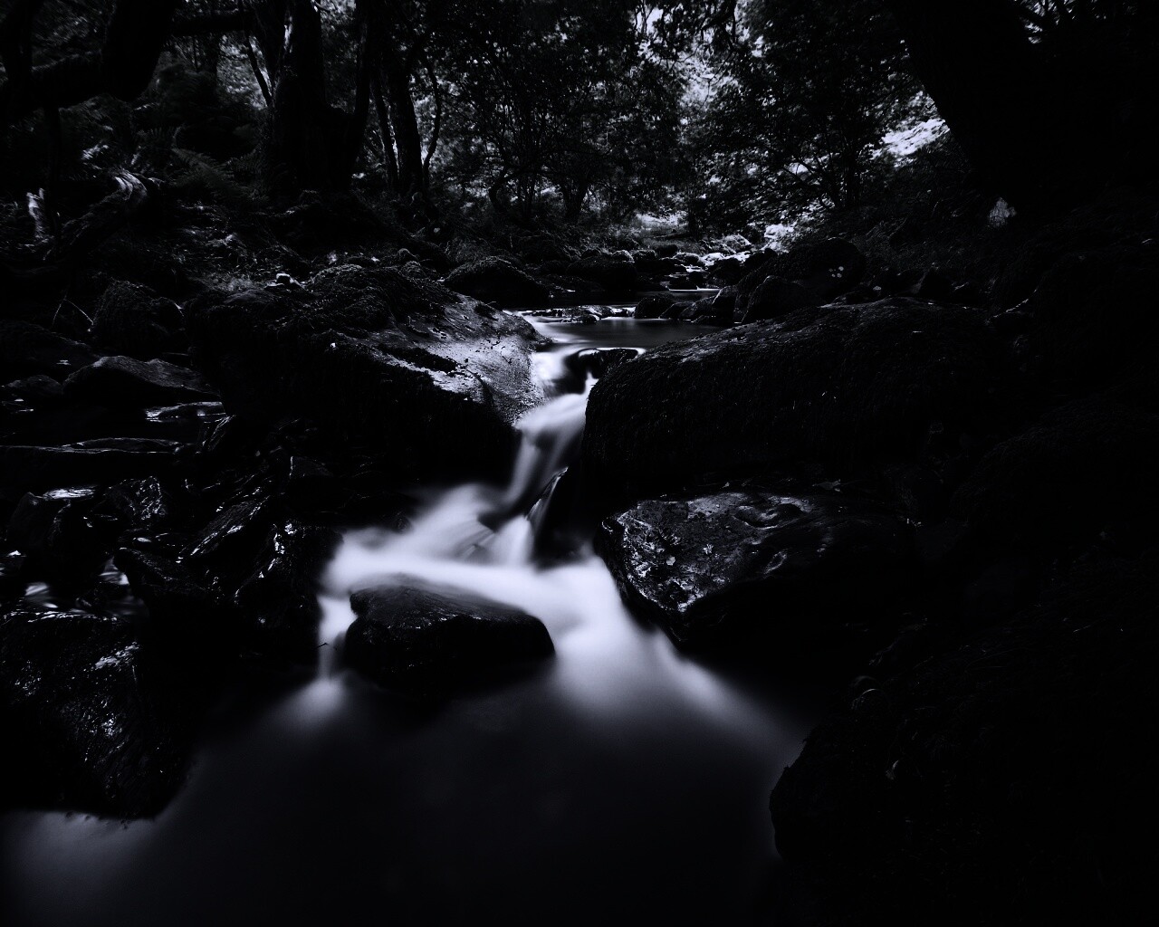 Речной поток в лесу обои