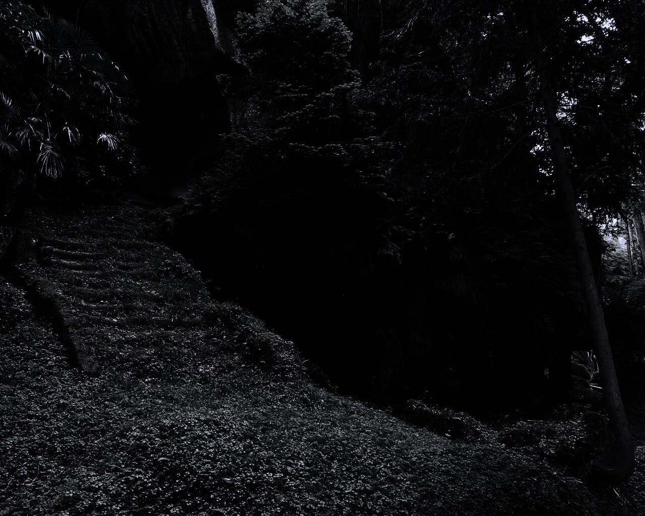 Старинный лесной храм обои