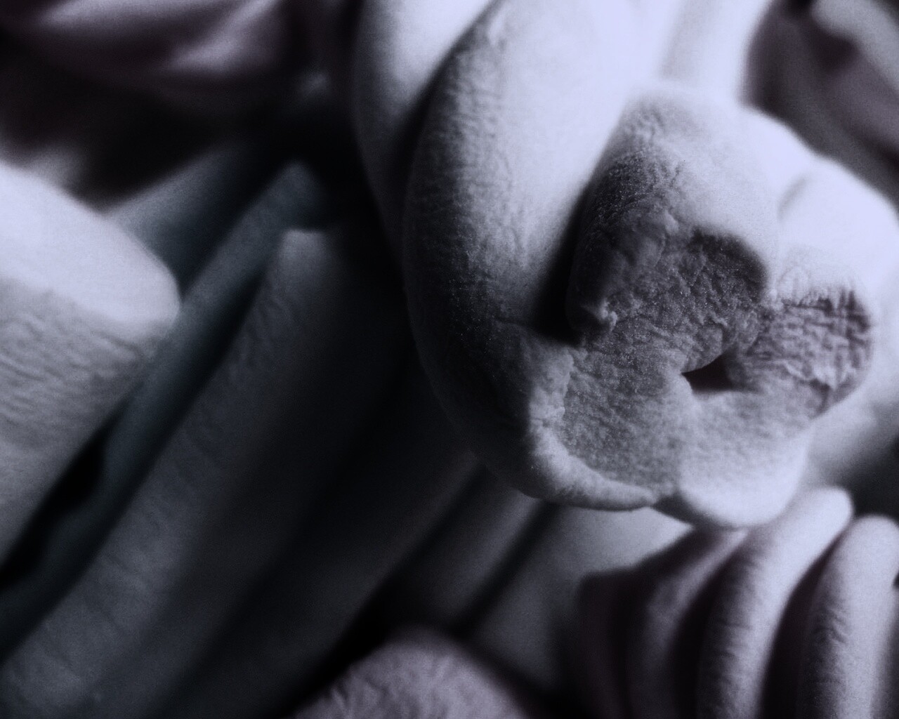 Кручёный зефир обои