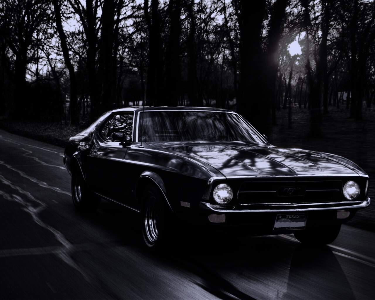 Мустанг обои