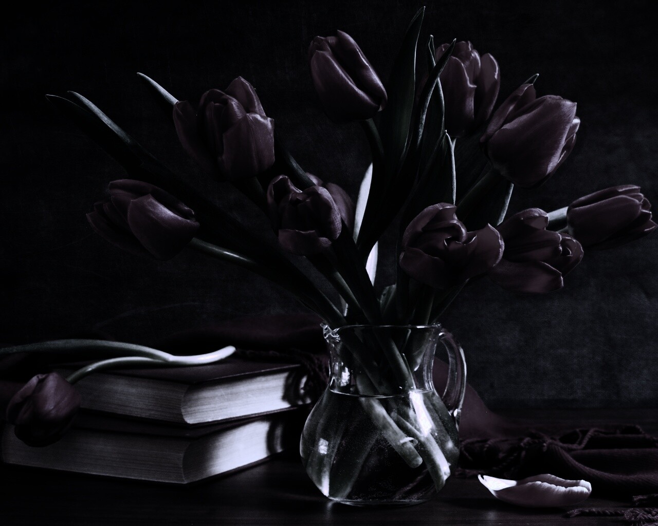 Букет красных тюльпанов обои