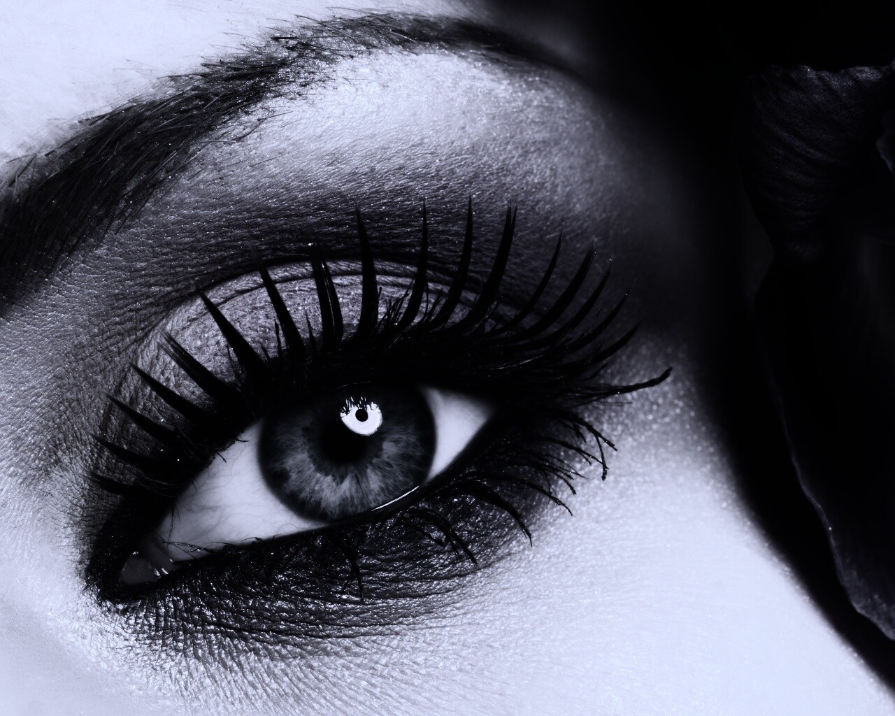 Макияж и цветок обои