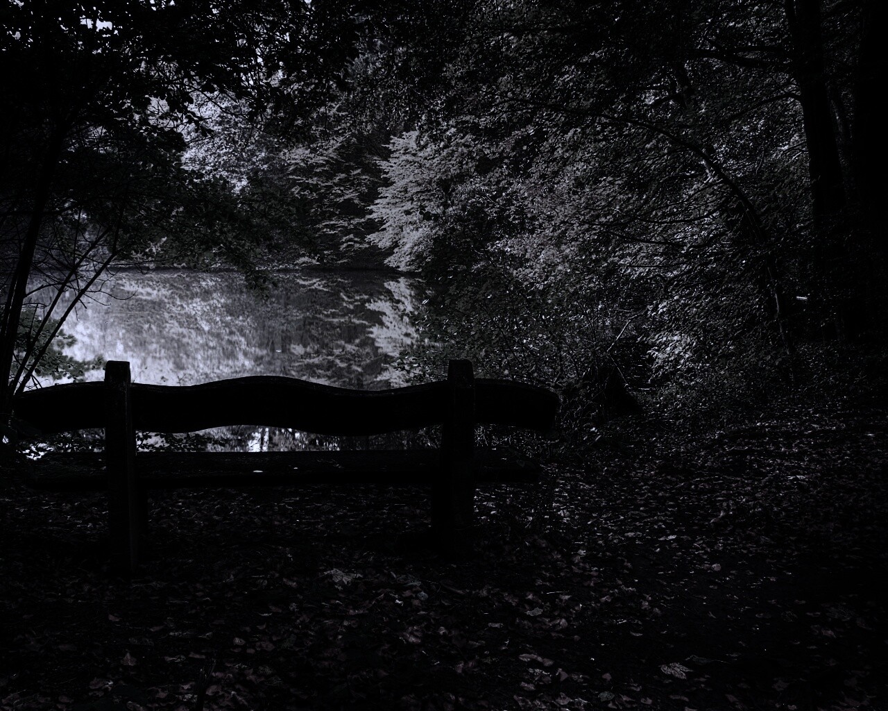 Скамейка в лесу обои