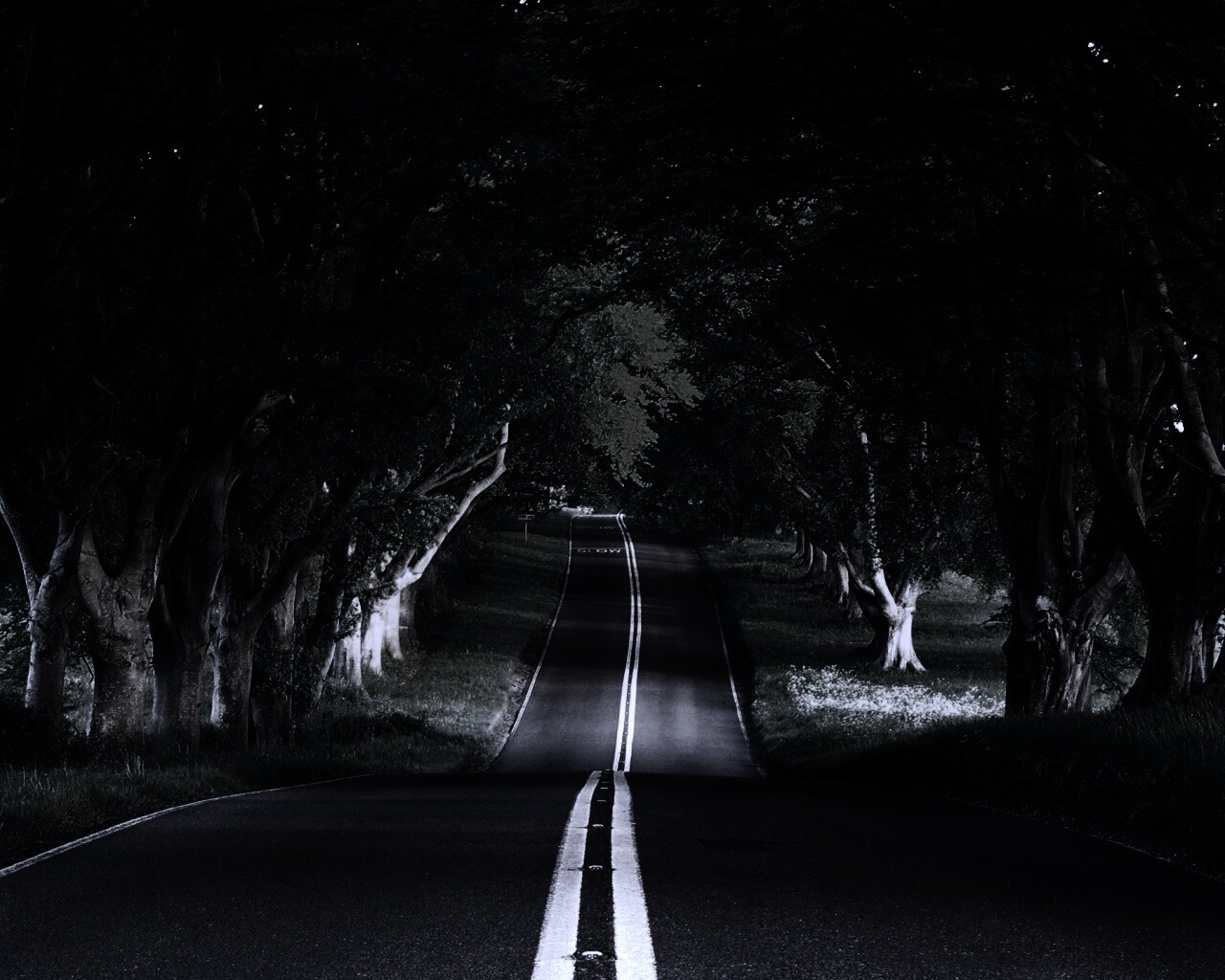 Дорога через лес обои