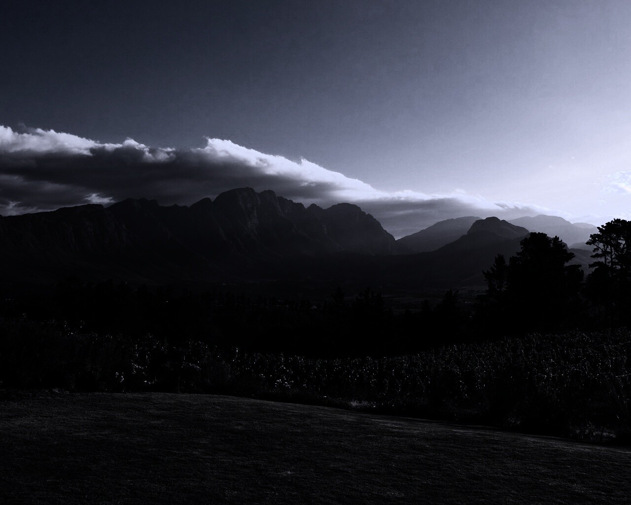 Виноградники в Африке обои