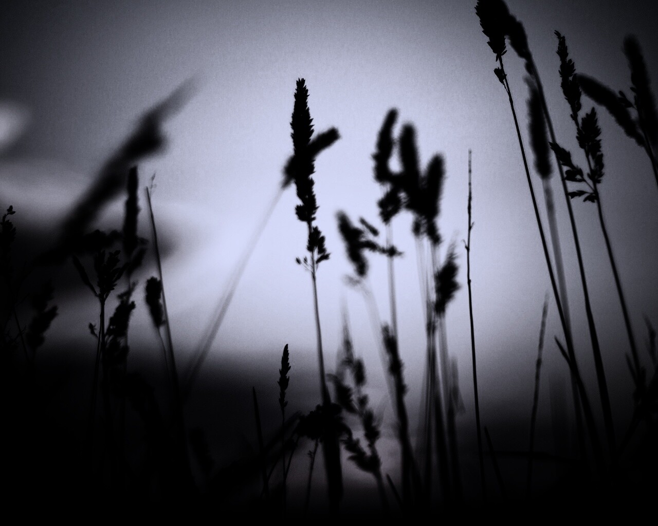 Дыхание природы обои