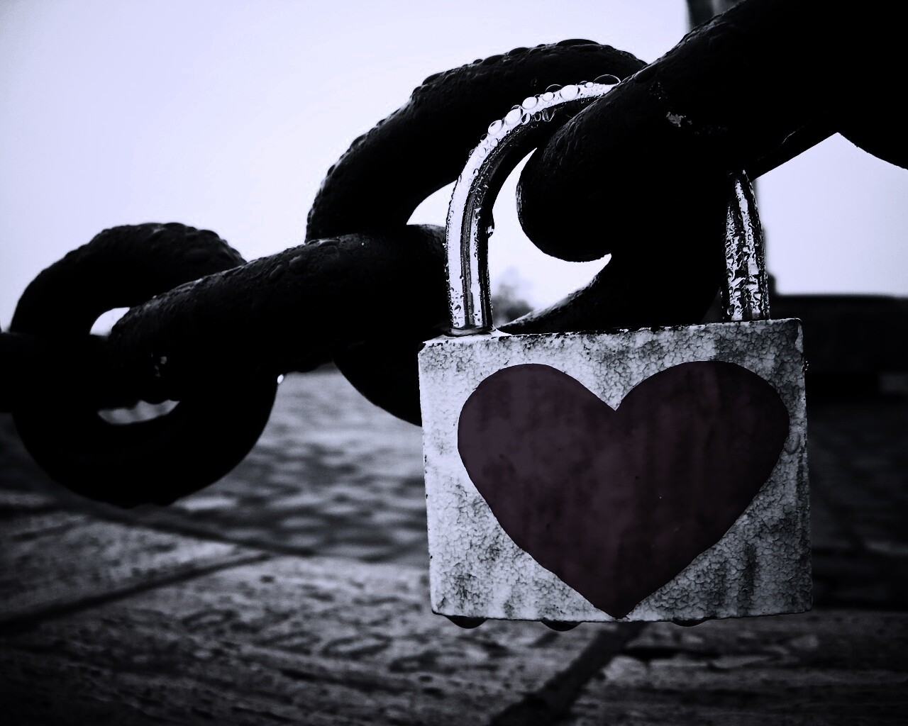 Замочек для влюбленных обои