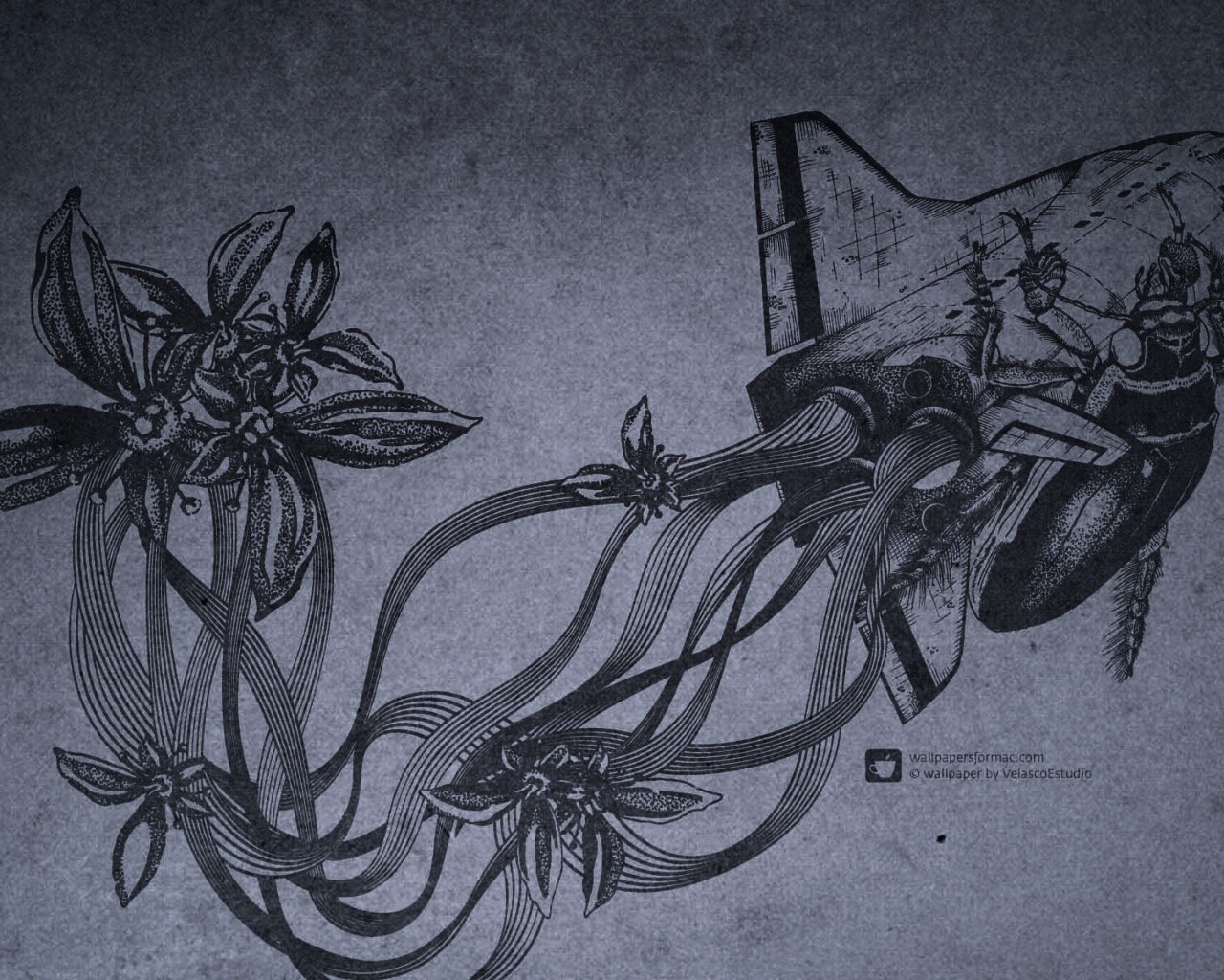 Абстракции для Apple обои