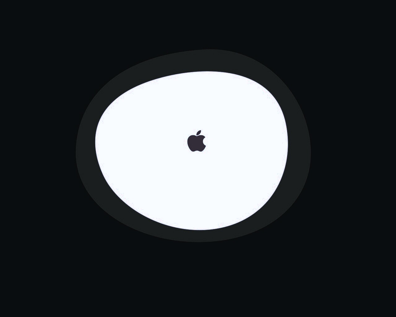 Apple в белом круге обои