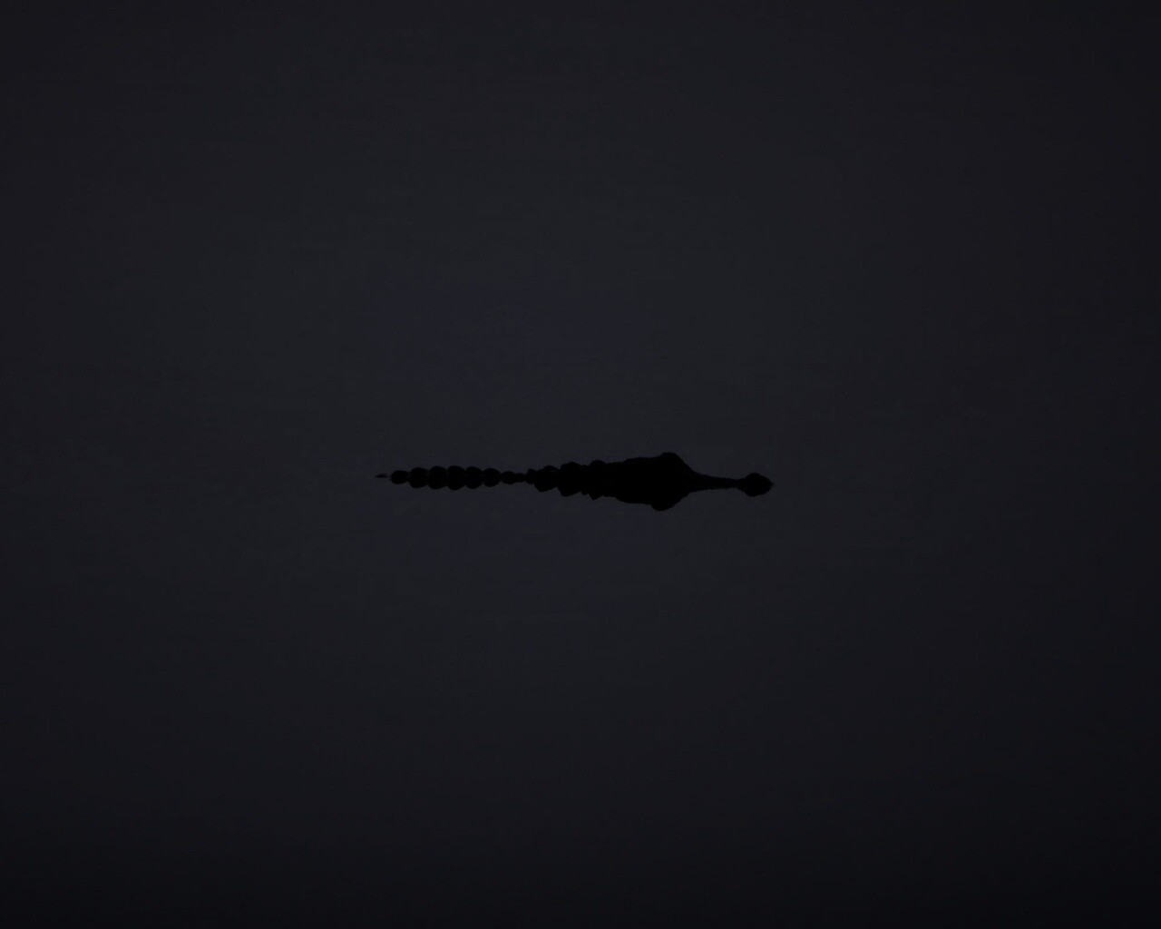 Алигатор обои