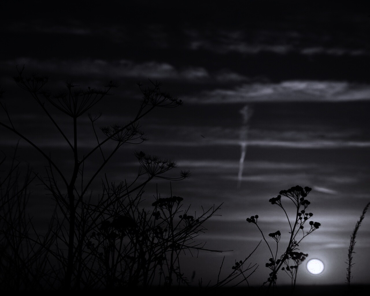 Степной закат обои