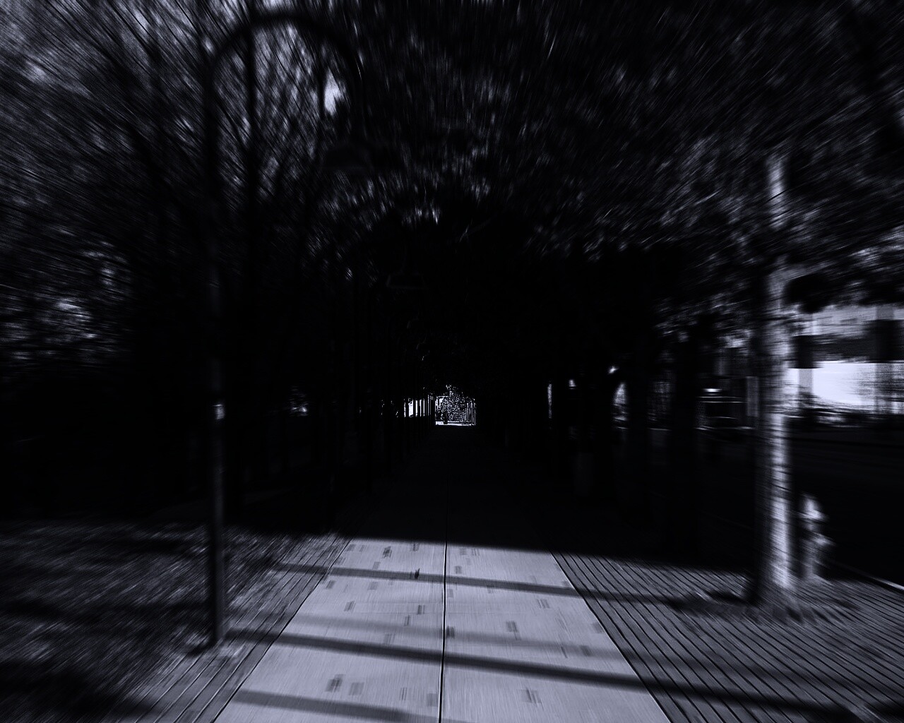 В парке обои