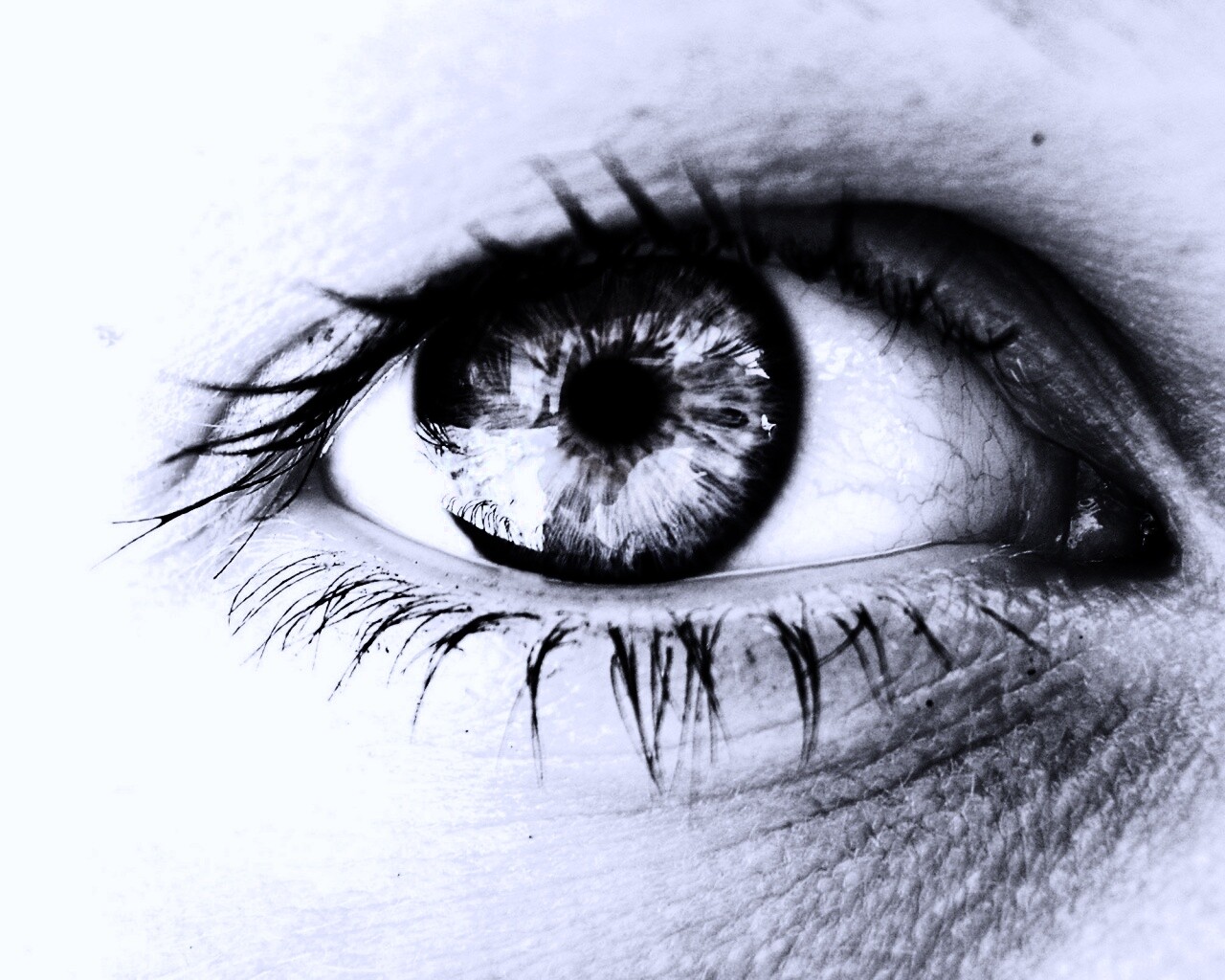 Широко раскрытые глаза обои