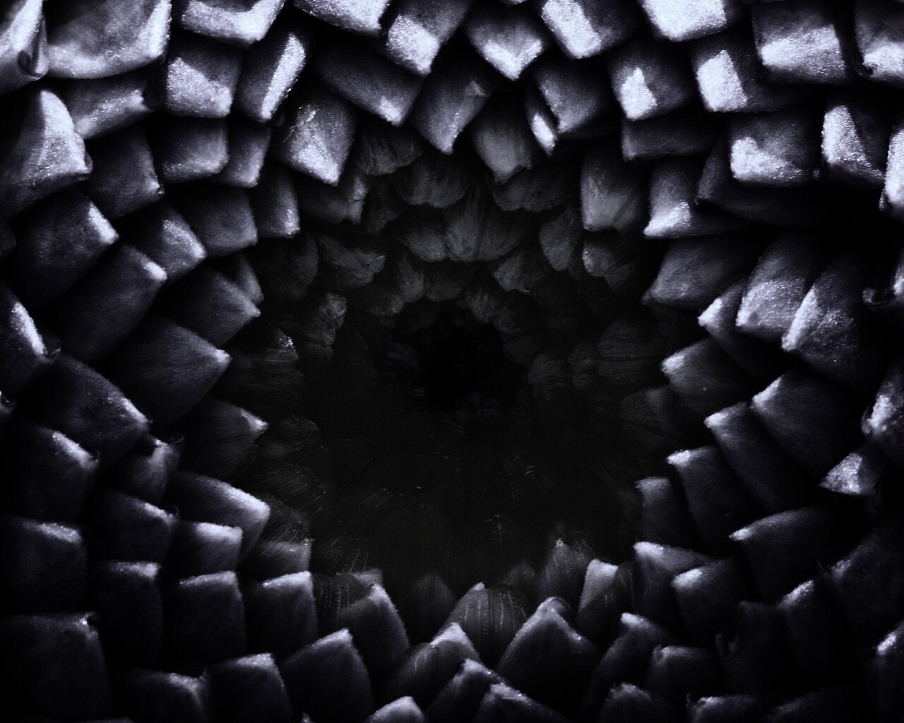 Сердцевина цветка обои