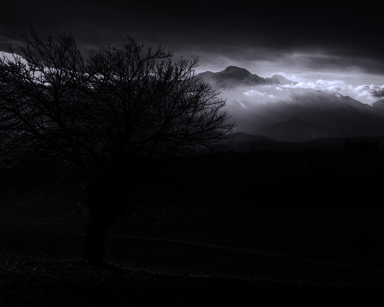 Дерево и горы обои