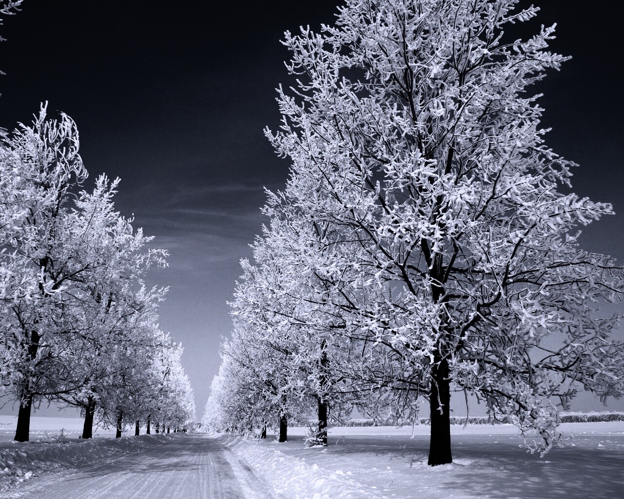 Снежная долина обои