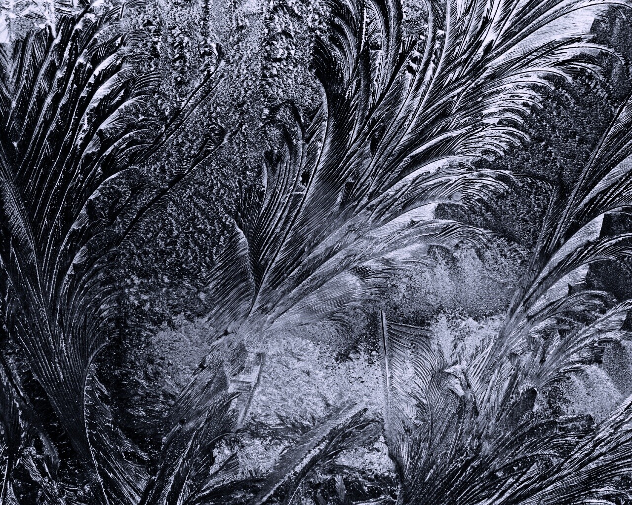 Зимние узоры обои