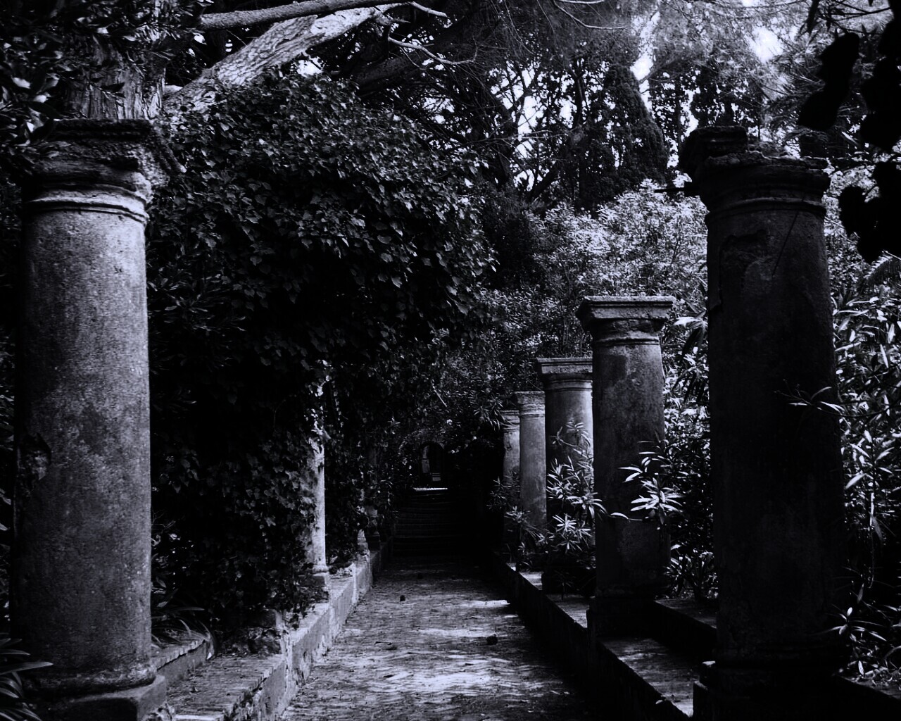 Галерея зимнего сада обои