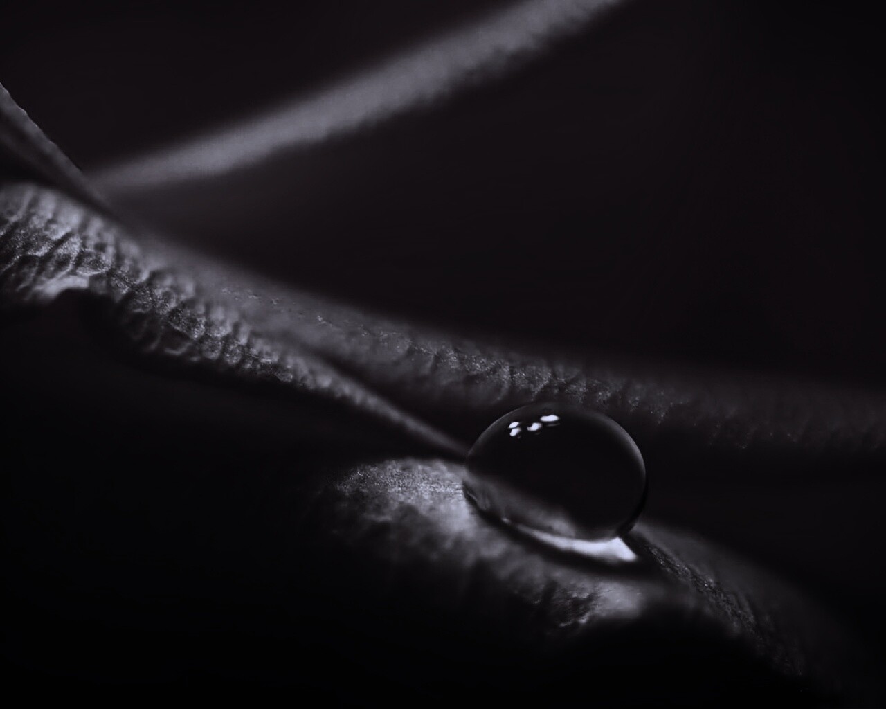 Капелька обои