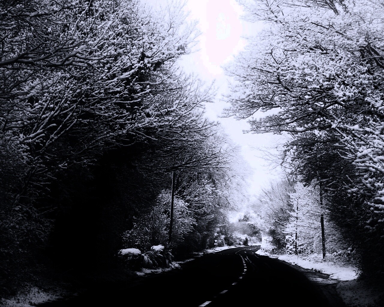 Дорога через зимний лес обои