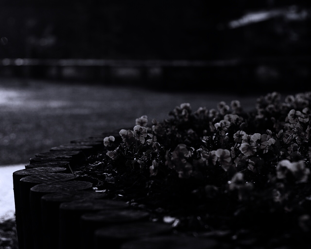 Красивая цветочная клумба обои